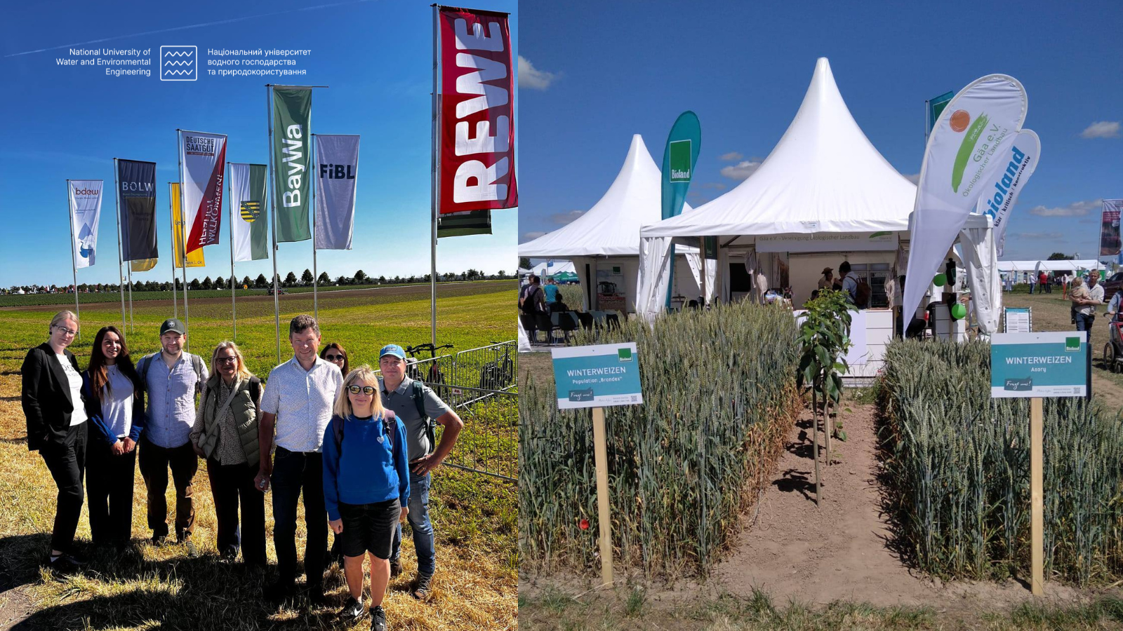 Навчальні візити за тематикою органічного агровиробництва