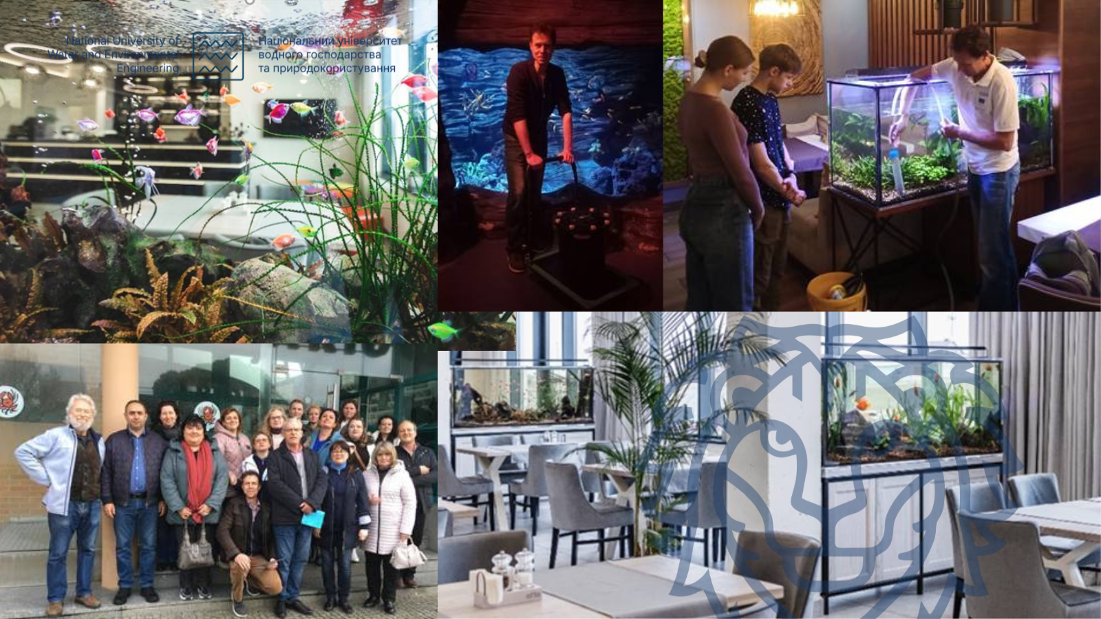 Практичні заняття з дисципліни Декоративна аквакультура