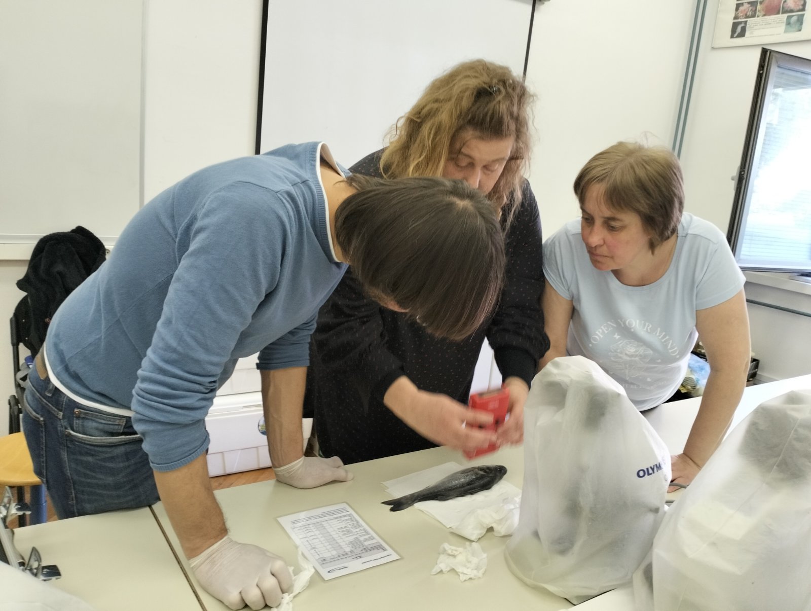 Перший тиждень стажування науковців в Університеті Дубровніка, Хорватія