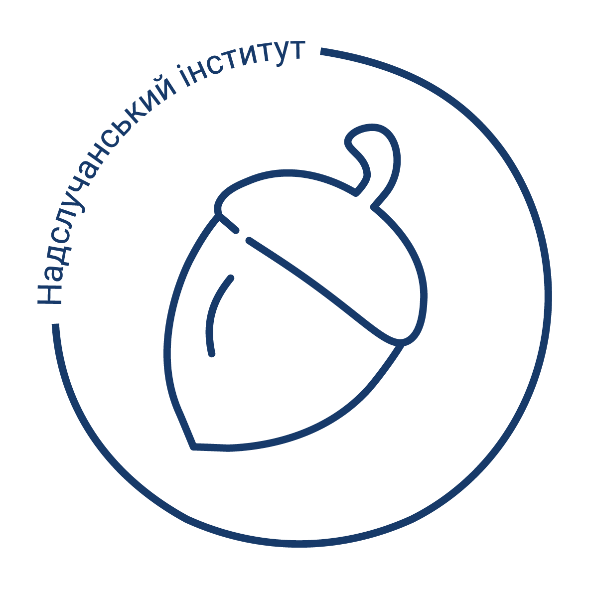 Надслучанський інститут