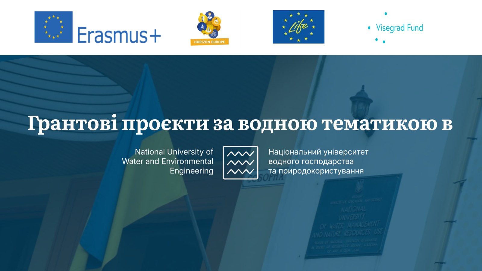 Міжнародна діяльність