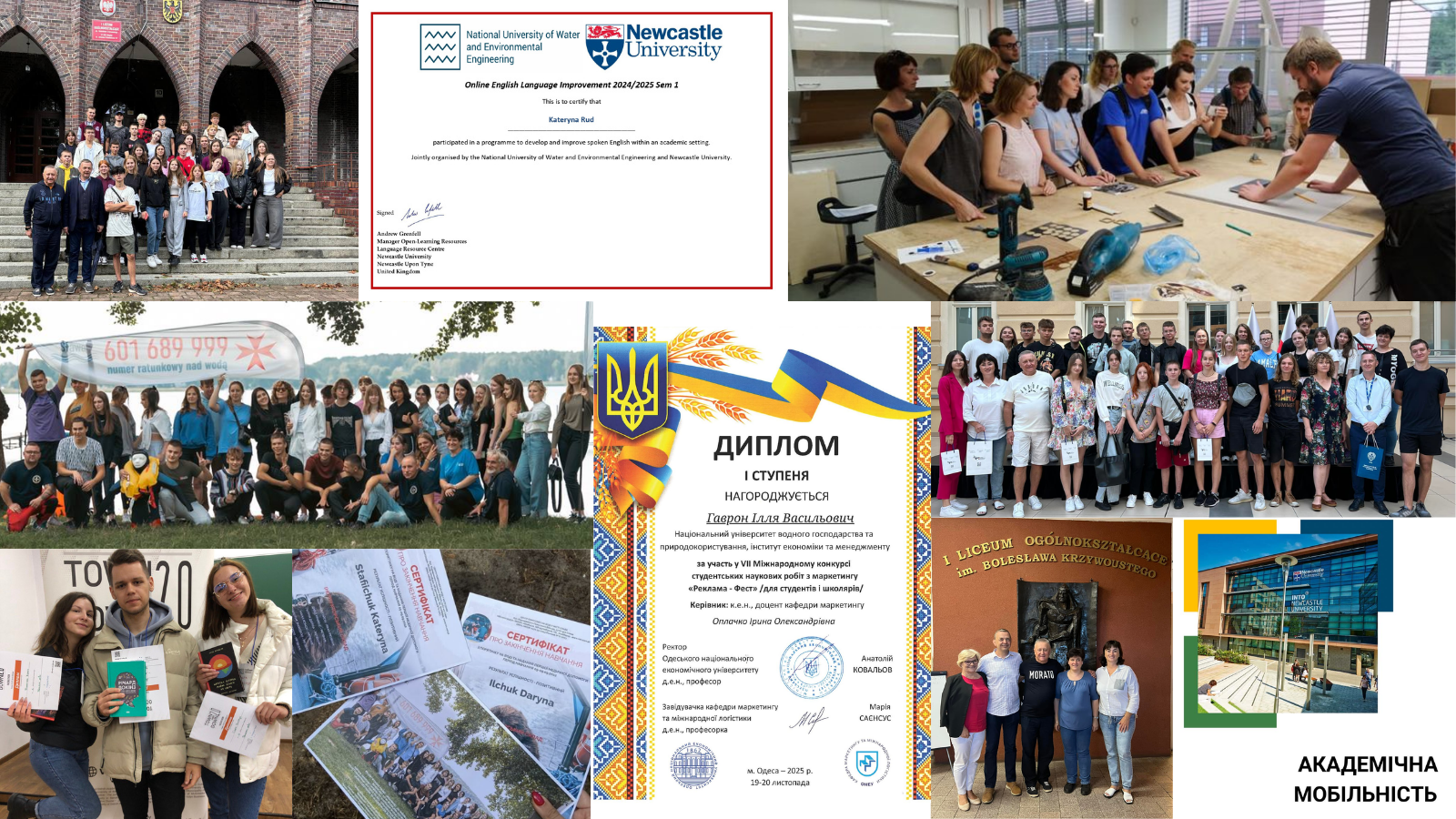 Міжнародна діяльність